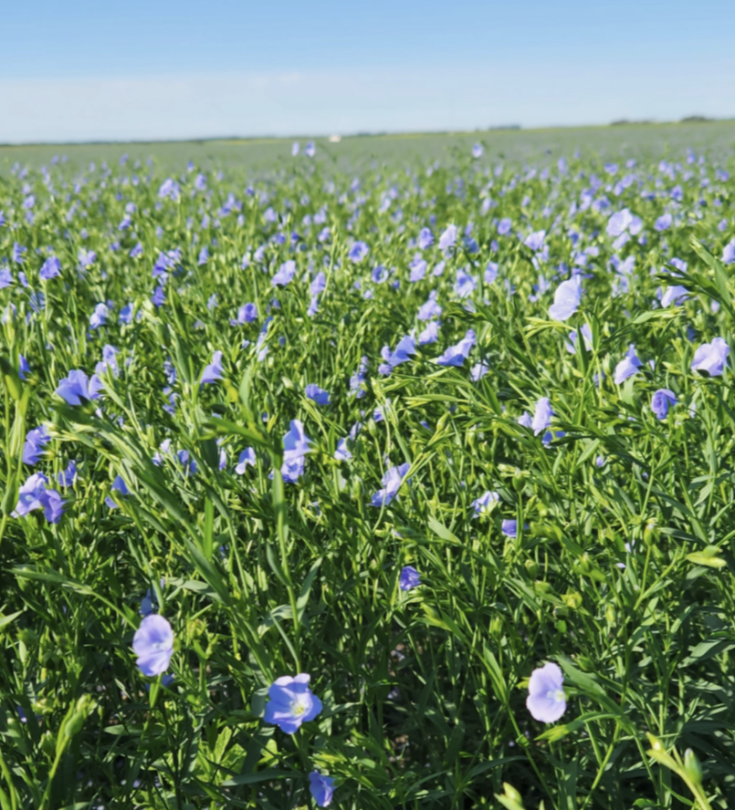 Our Farms